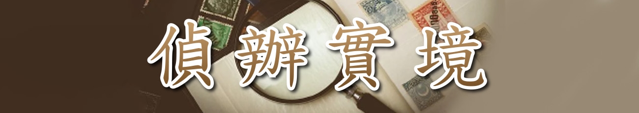 偵辦實境